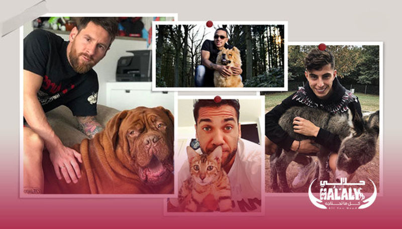 Meet the pets of Football stars playing in Qatar 2022 World Cup.